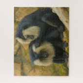 マカクボンド – グルーミング儀式 ジグソーパズル (縦)