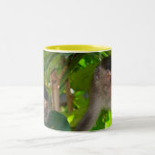 マカク属猿のマグ ツートーンマグカップ (中央)