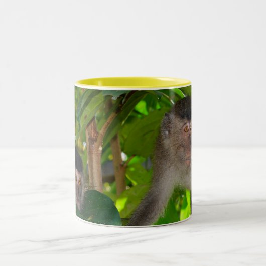 マカク属猿のマグ ツートーンマグカップ (中央)
