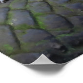 マカケ族 ポスター (角)