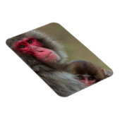 マカケ日本のモンキーフレキシブルマグネット マグネット (右側)