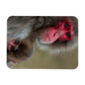 マカケ日本のモンキーフレキシブルマグネット マグネット (横)