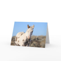 マカロピークのソラ