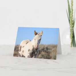 マカロピークのソラ サンキューカード