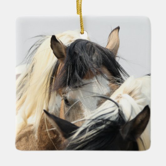 マカロフピークストラベラーセラミックオーナメント セラミックオーナメント (正面)