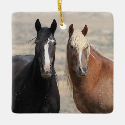 マカロフピークスワイルドウズセラミックオーナメント セラミックオーナメント (正面)