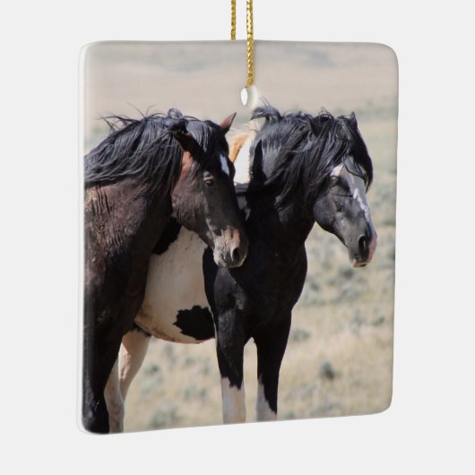 マカロフピークスワシャキーセラミックオーナメント セラミックオーナメント (右)