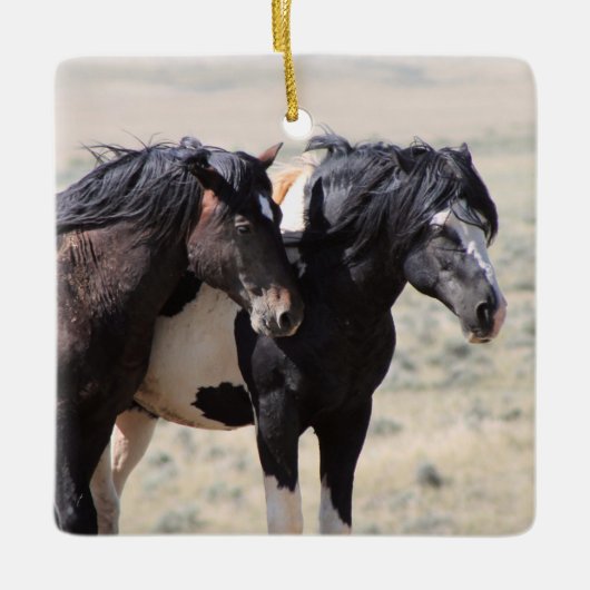 マカロフピークスワシャキーセラミックオーナメント セラミックオーナメント (正面)