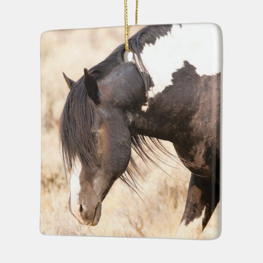 マカロフピークスワシャキーワイルドウマズセラミックオルナ セラミックオーナメント (左)