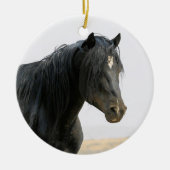 マカロフピークワイルドホースジェットストリームセラミックホーン セラミックオーナメント (正面)