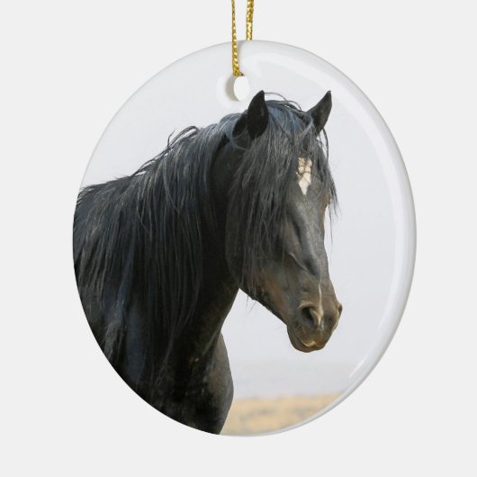 マカロフピークワイルドホースジェットストリームセラミックホーン セラミックオーナメント (左)