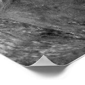 マカロフピークワイルドホース ポスター (角)