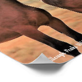 マカロフピークワイルドホース ポスター (角)