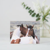 マカロフピークワイルドホース ポストカード (スタンド正面)