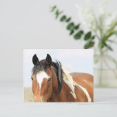 マカロフピークワイルドホース ポストカード (スタンド正面)