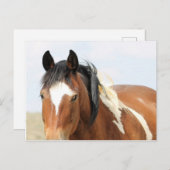マカロフピークワイルドホース ポストカード (正面/裏面)