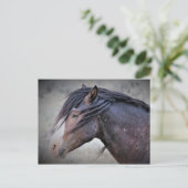 マカロフピークワイルドホース ポストカード (スタンド正面)