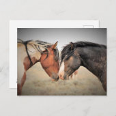 マカロフピークワイルドホース ポストカード (正面/裏面)