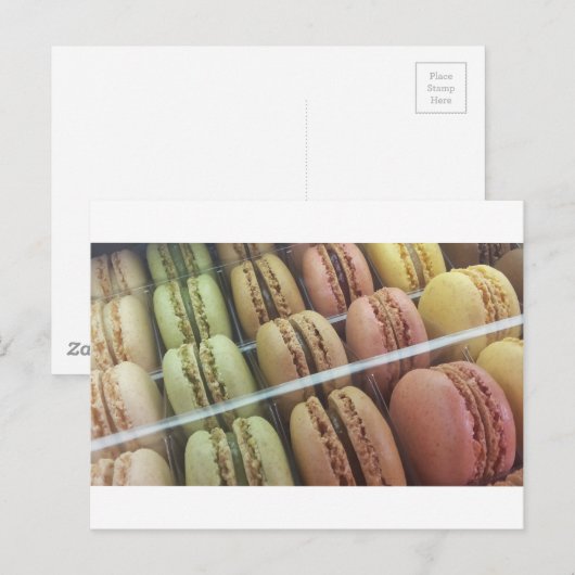 マカロンガロア ポストカード (正面/裏面)