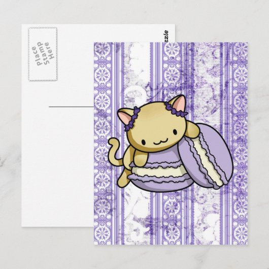 マカロン子猫 ポストカード (正面/裏面)