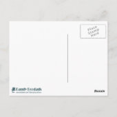 マカロン愛とリボン ポストカード (裏面)