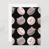 マカロン模様 案内ポストカード (正面/裏面)