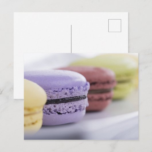 マカロン ポストカード (正面/裏面)