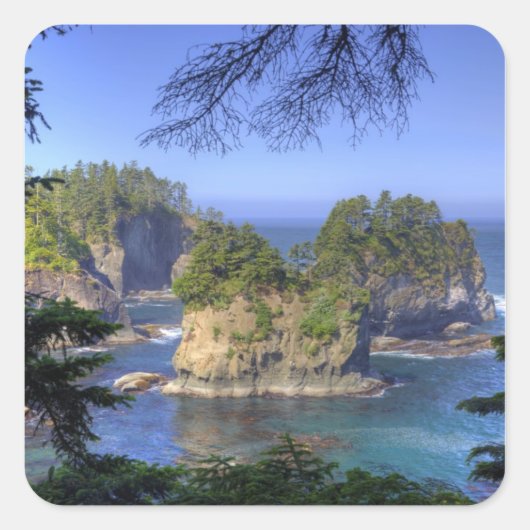 マカ国部族ランド，ケープ スクエアシール (正面)