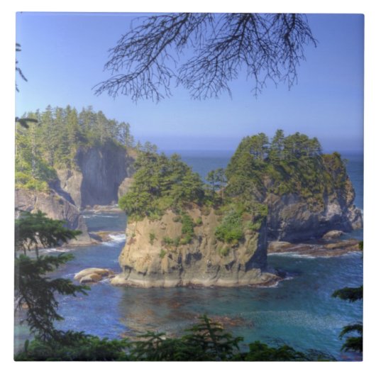 マカ·ネーション·トリバル·ランズ（岬）、シースタックス タイル (正面)