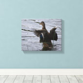 マガモが羽をばたばたさせている キャンバスプリント (インサイチュ (ウッドフロア))