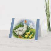 マガモとアヒル カード (裏面)