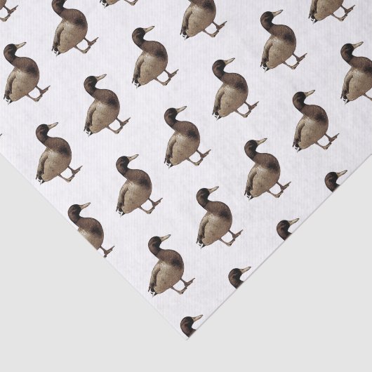 マガモのアヒルのセピア色の調子のティッシュペーパー 薄葉紙 (詳細)