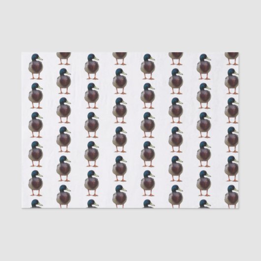 マガモのアヒルのティッシュペーパー 薄葉紙 (正面)