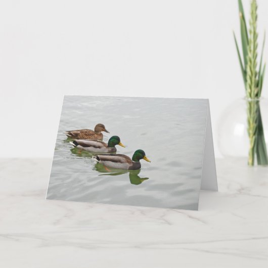 マガモのアヒルのプリントの挨拶状 カード (正面)