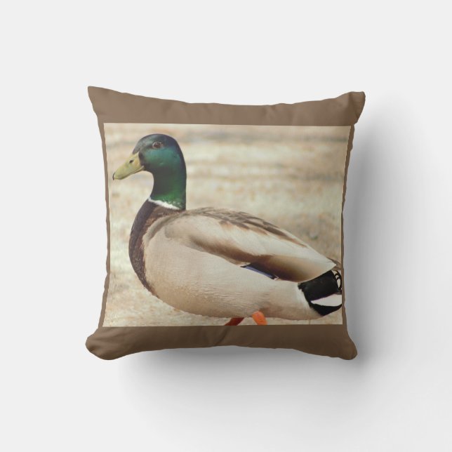 マガモのアヒルの写真 アウトドアクッション (正面)