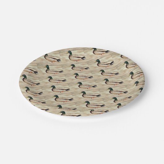 マガモのアヒルの写真 ペーパープレート (アングル)