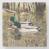 マガモのアヒルの石のコースター ストーンコースター (正面)