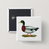 マガモのアヒルドレーク 缶バッジ (正面&裏面)