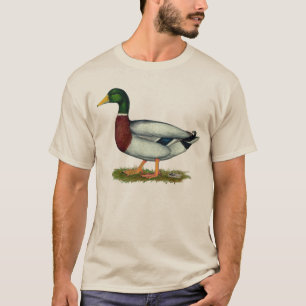 マガモのアヒルドレーク Tシャツ