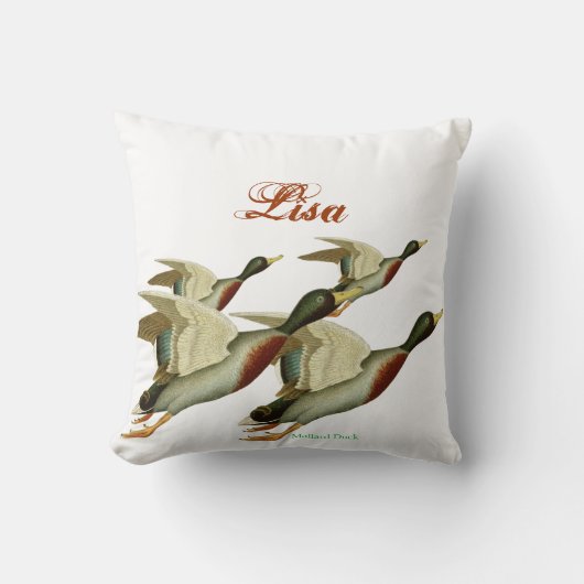 マガモのアヒル クッション (正面)