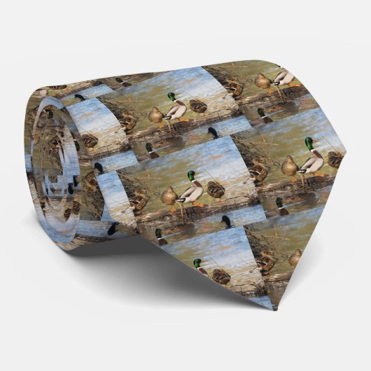 マガモのアヒル ネクタイ (ロール)