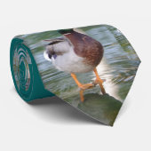 マガモのアヒル ネクタイ (ロール)