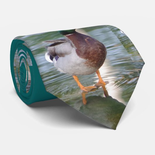 マガモのアヒル ネクタイ (ロール)