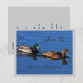 マガモのカップル招待 招待状 (正面/裏面)