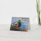 マガモのグリーティングカード カード (正面)