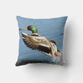 マガモのドレークのアヒル クッション (裏面)