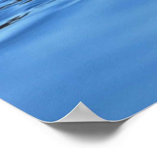 マガモのペア ポスター (角)