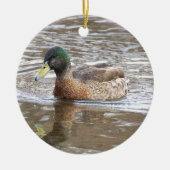 マガモの写真オーナメント セラミックオーナメント (正面)