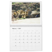 マガモの子ガモ カレンダー (2月 2027)