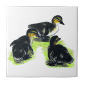 マガモの子ガモ タイル (正面)
